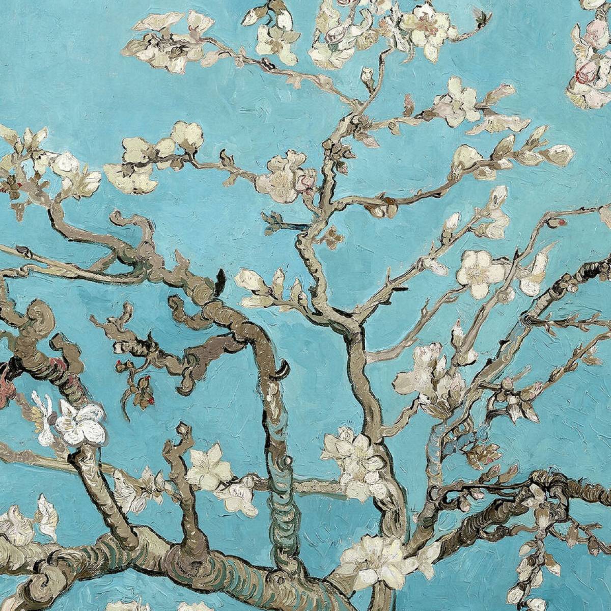 Nota sull’Equinozio di Primavera