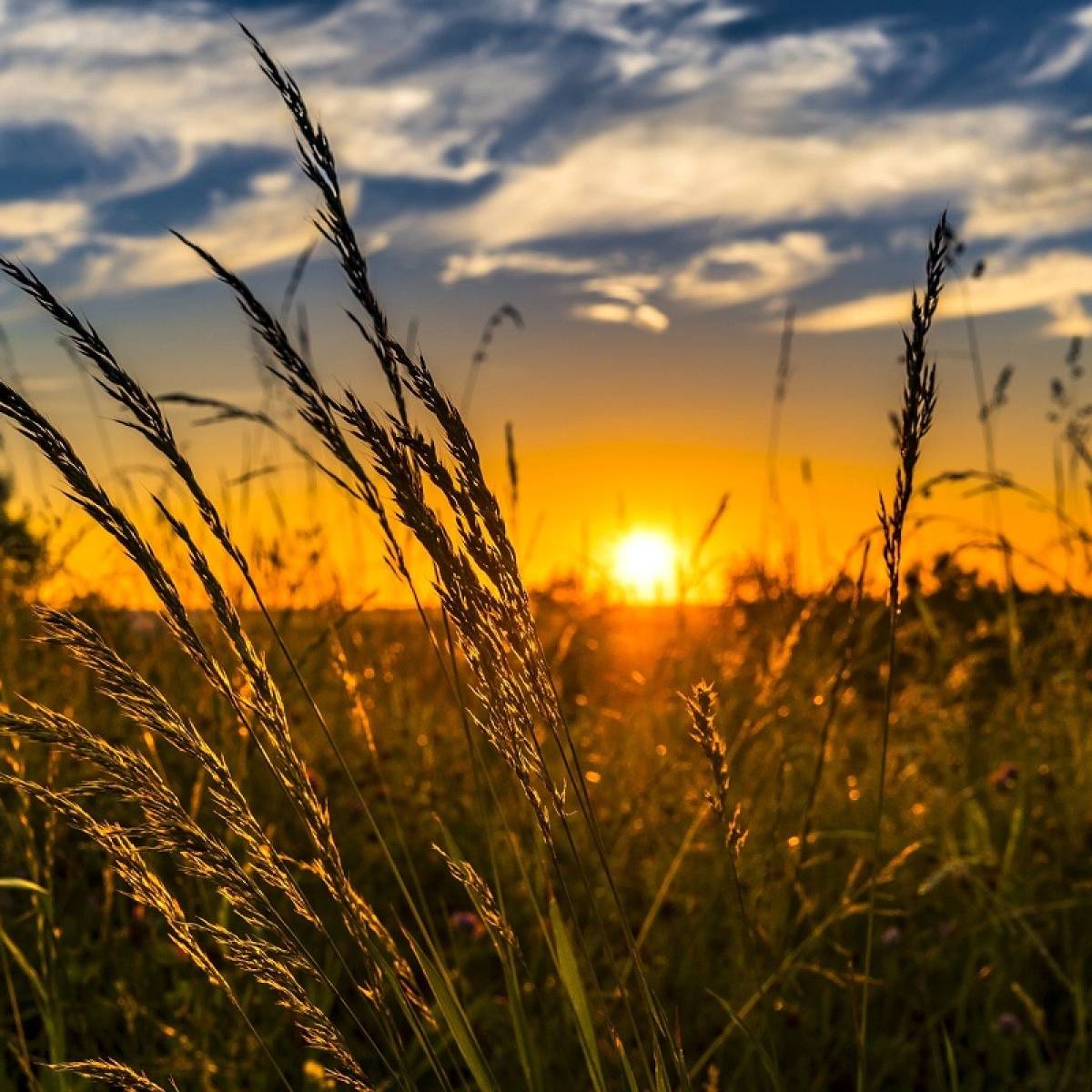 Il fuoco del solstizio d'estate