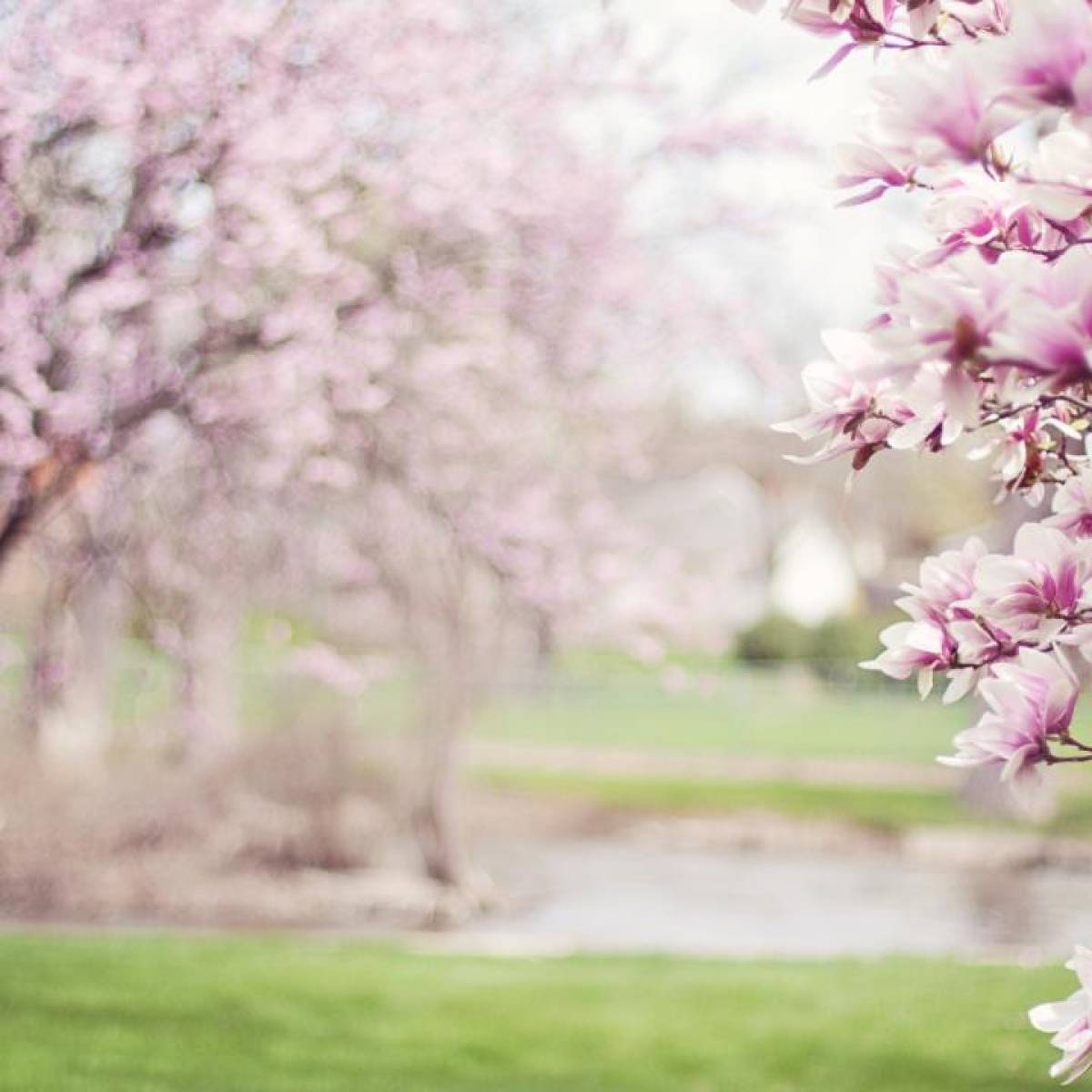 L'equinozio di primavera