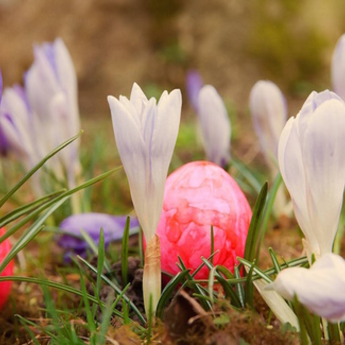 Simbologia e significati della Pasqua nelle diverse culture
