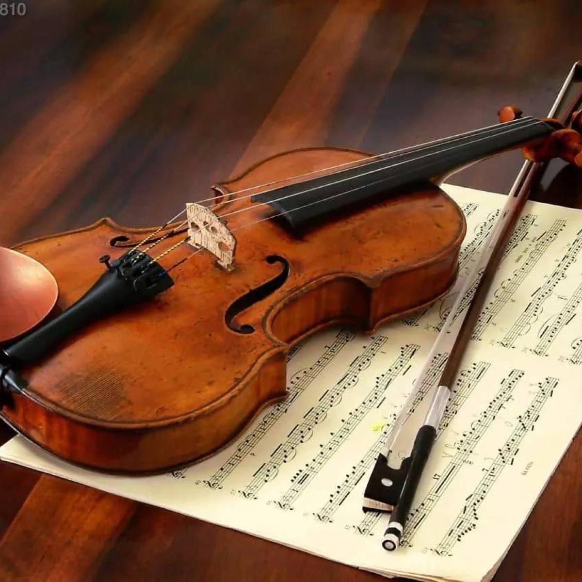 Storia del violino