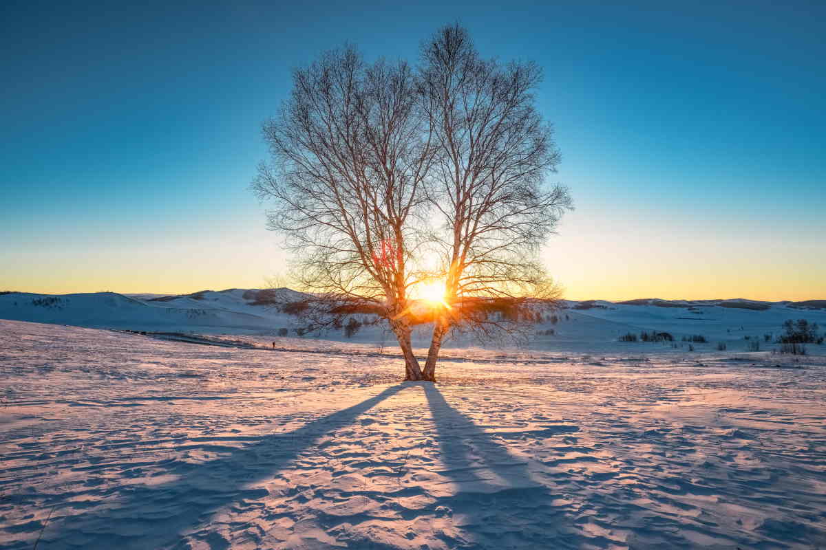Spes ultima dea ovvero dell'Amore
